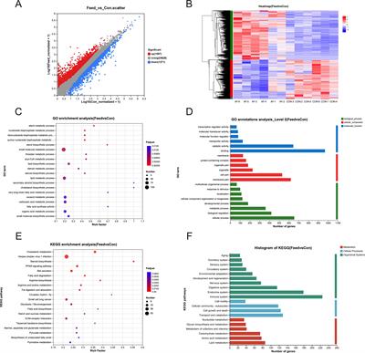 Effects of artificial diets on lipid and glucose metabolism, antioxidative capacity, and inflammation in the liver of mandarin fish (Siniperca chuatsi)